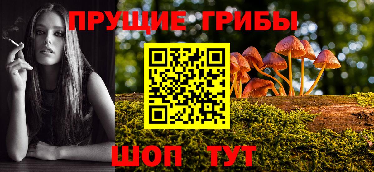 Галлюциногенные грибы Cubensis Сорочинск