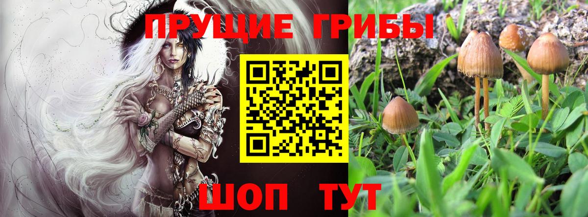 Псилоцибиновые грибы MAGIC MUSHROOMS  Вход с VPN  Сорочинск 